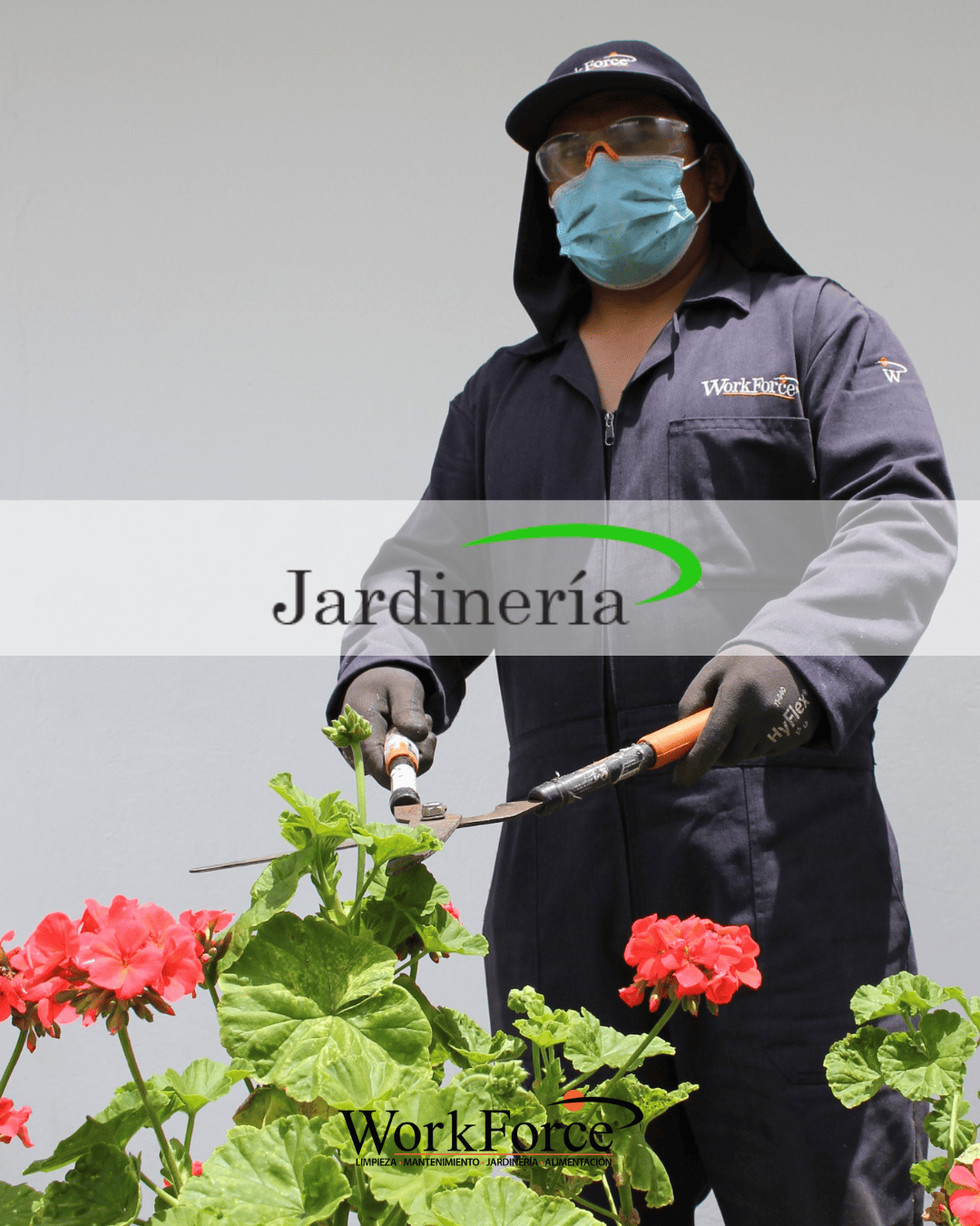 Jardinería